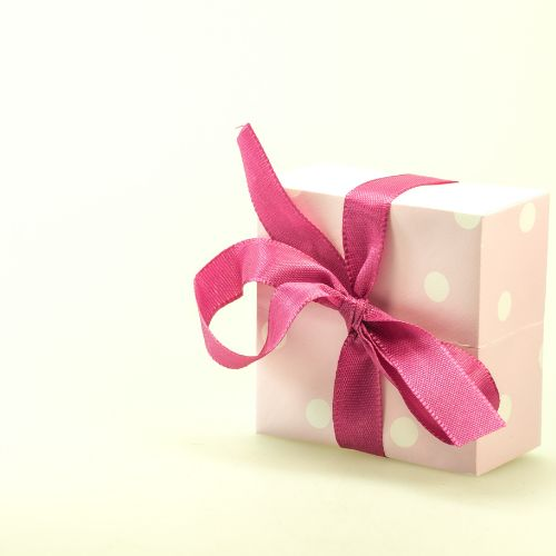 𝗢𝗣𝗔𝗞𝗢𝗪𝗔𝗡𝗜𝗔 / 𝗣𝗨𝗗𝗘Ł𝗞𝗔 💌